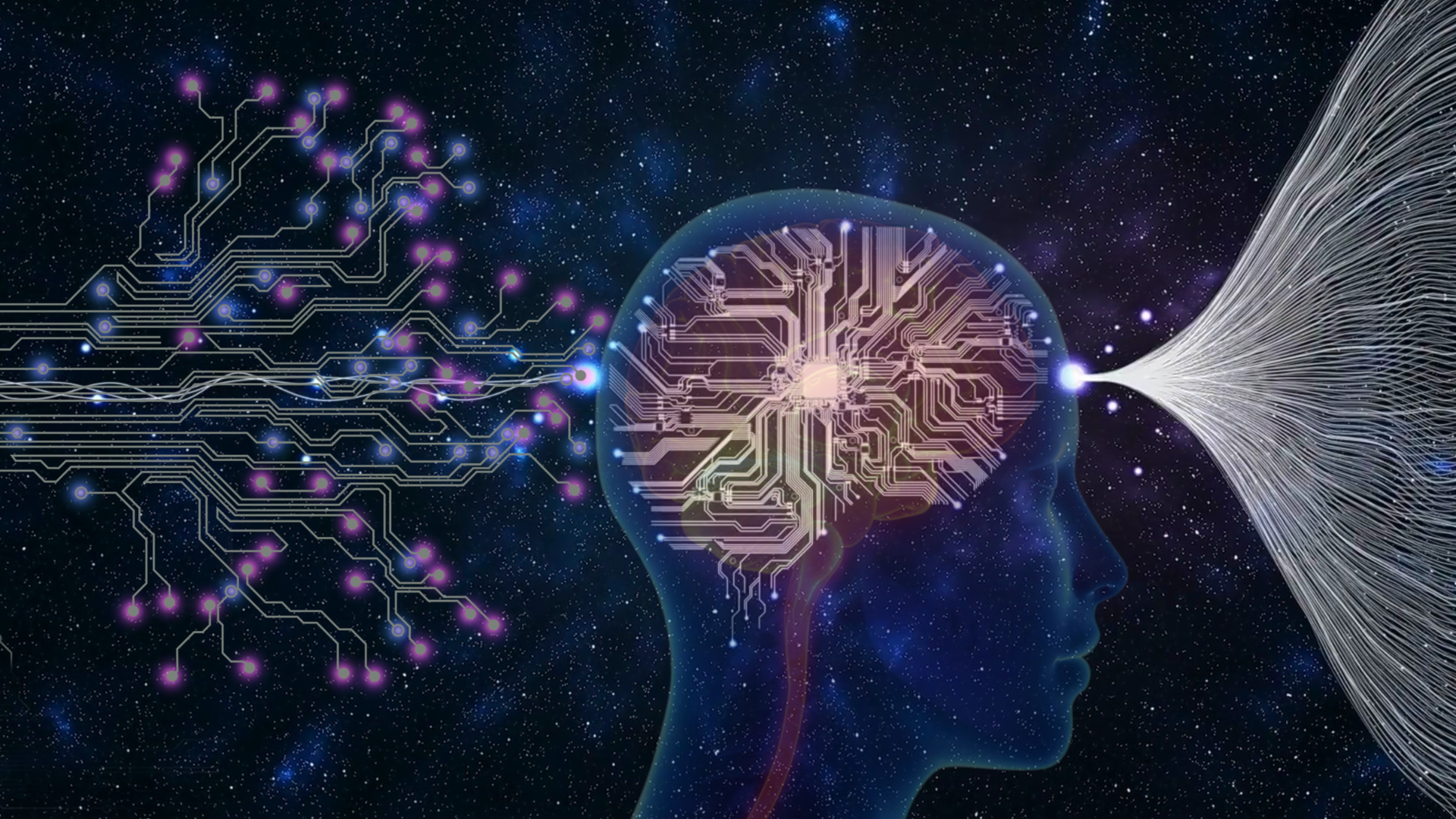 How Dopamine Hijacks Your Brain (And Why Modern Life Makes It So Hard to Focus)